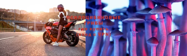 прущая мука Белоозёрский