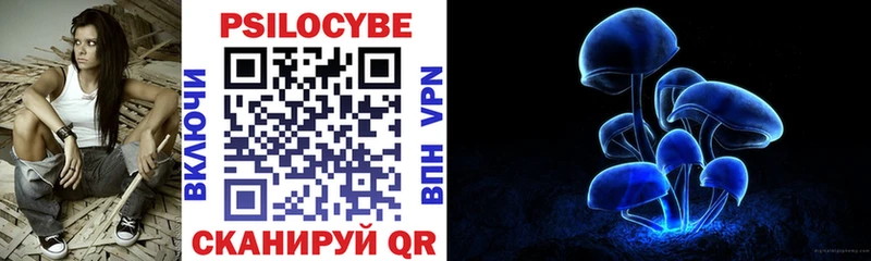 маркетплейс официальный сайт что такое Болхов Галлюциногенные грибы мухоморы